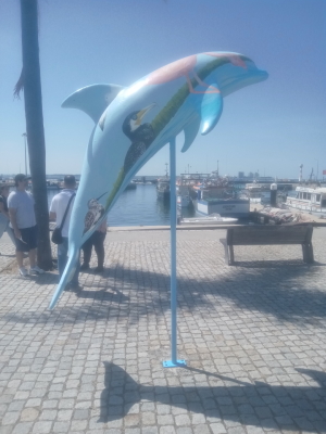 golfinho1