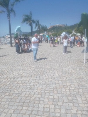 golfinho2